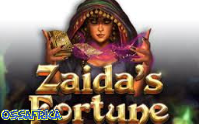 zaida's fortune