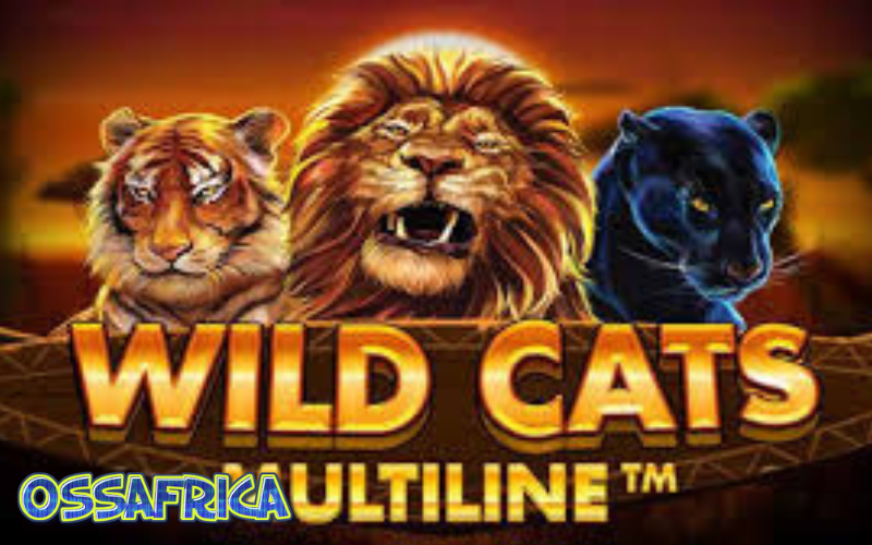 TOP STRATEGITES TO WIN BIG ON WILD CATS MULTILINE SLOT